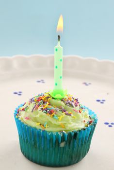 Cute single cup cake with a burning Birthday candle.