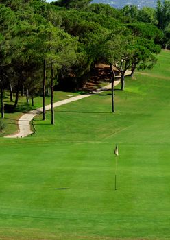 Golf course green in Algarve (Portugal)                                