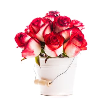 roses in the bucket isolated on white