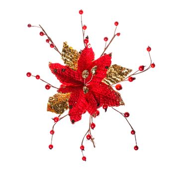 Decorative poinsettia with red holly berries isolated on white. Christmas decor