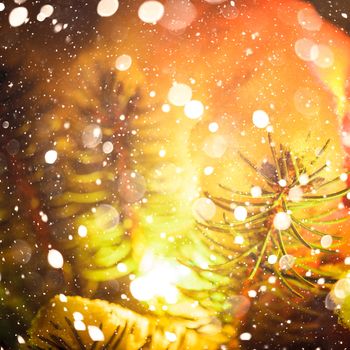 Part of christmas fir-tree under the snow outdoors with lights