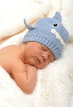 newborn baby sleeping in shark hat