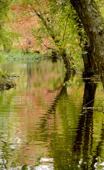 reflection of autumn landscape in river