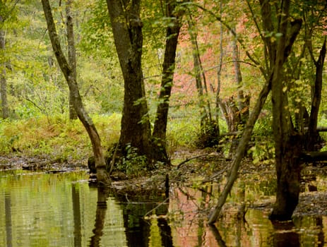 colorful fall landscape with trees and reflection in water
