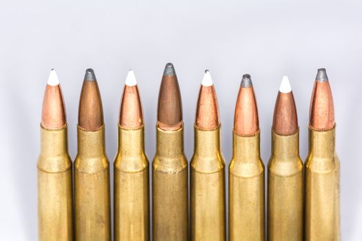 Tips of a few rifle bullets lined up in a row on white background