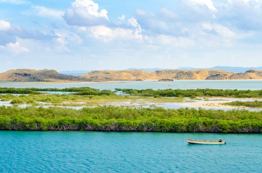 Boat passing by mangrove trees in the Caribbean Sea