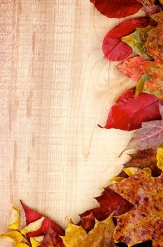 Corner Border of Wet Yellowed Autumn Leafs closeup on Rustic Wooden background 
