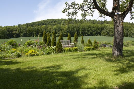 Bench between bushes in a peaceful countryside 