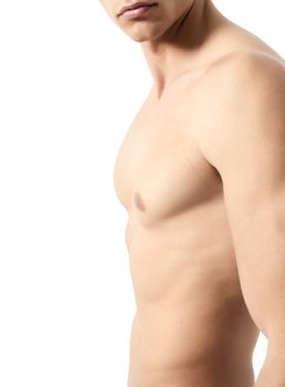 Muscular male torso on white background