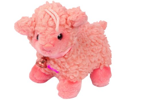 Toy sheep isolated on a white