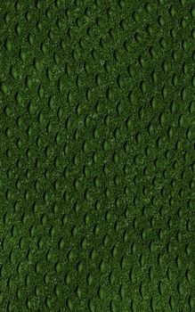 pattern of green crocodile skin