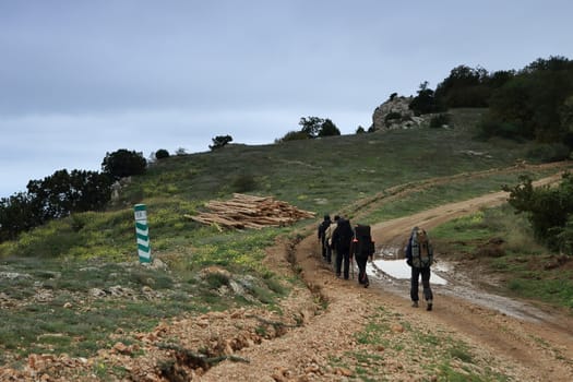 Tourists with backpacks go to the mountains
