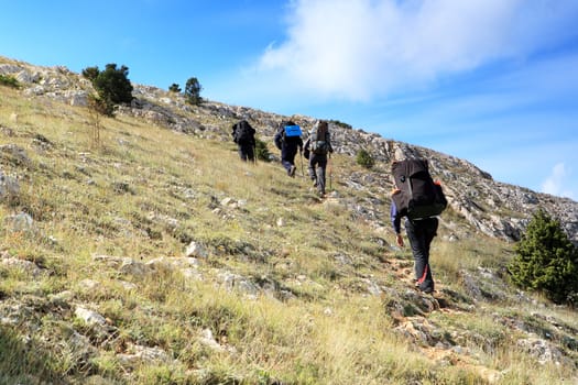 Tourists with backpacks go to the mountains
