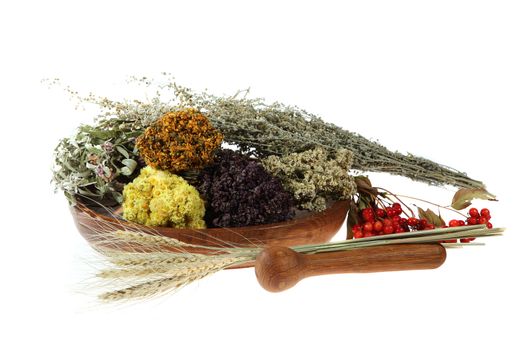 Medicinal herbs on the white background, isolated
