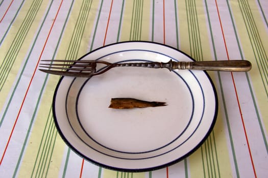 fork with knife on dish with  fish