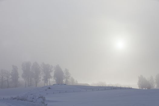 Winter Landscape a foggy day