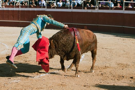 David Valiente stabbing a bull. Bullfight at Beas de Segura bullring, Jaen province, Spain, 11 october 2009.