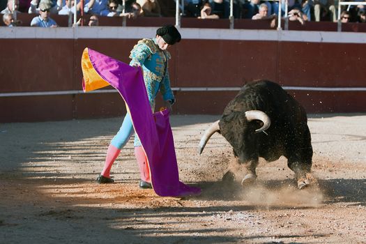 The Spanish bullfighter David Valiente Bullfight at Beas de Segura bullring, Jaen province, Andalusia, Spain, 11 october 2010