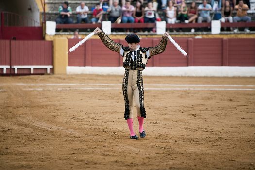Banderillero, the torero who, on foot, places the darts in the bull, the banderillas is Brightly-coloured darts placed in the bull