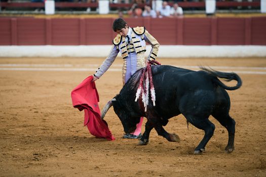 The Spanish bullfighter Sebastian Castella, Bullfight at Andujar bullring, Jaen, Spain, 11 September 2009