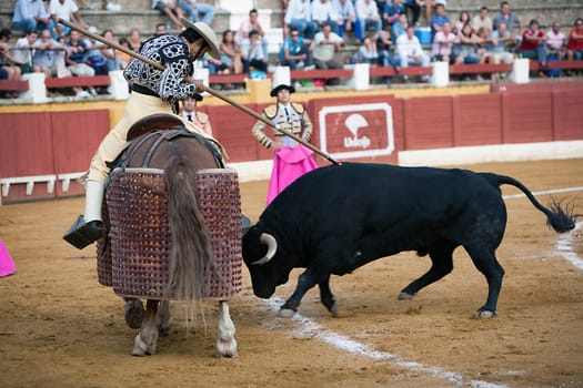 Picador bullfighter, lancer whose job it is to weaken bull's neck muscles, Spain