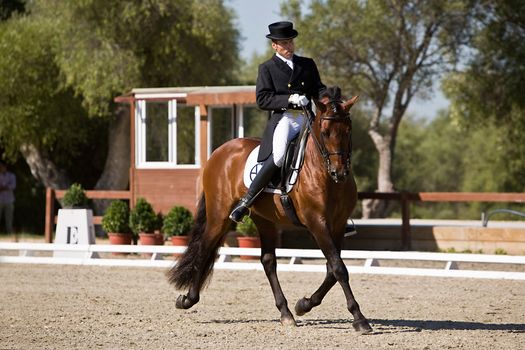 Rider competing in dressage competition classic, Montenmedio, Cadiz, Spain