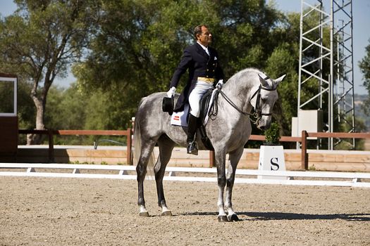 Rider competing in dressage competition classic, Montenmedio, Cadiz, Spain