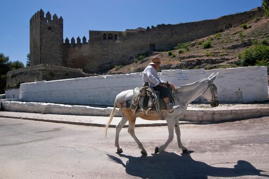 Elder walking in donkey close to the Tower of the Barbacana, Sabiote, Jaen, Spain