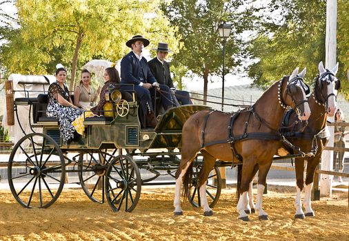 Carriage pulled by two horses, Spain