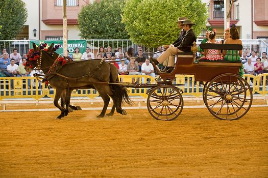 Carriage pulled by two horses, Spain