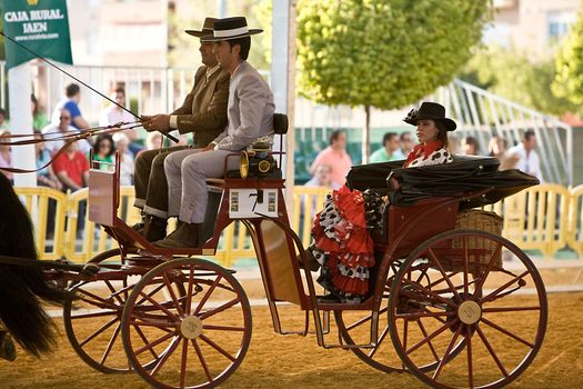 Carriage pulled by two horses, Spain