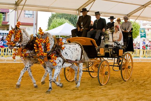 Carriage pulled by two horses, Spain