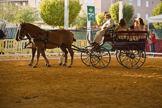 Carriage pulled by two horses, Spain