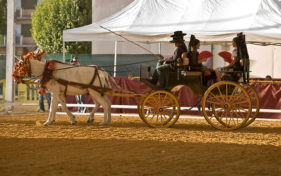 Carriage pulled by two horses, Spain