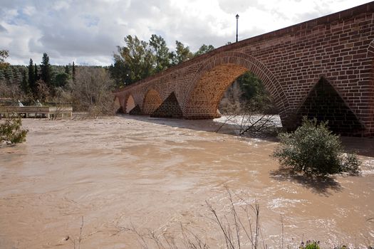 Guadalquivir River passing through Andujar, Jaen province, Andalusia, Spain