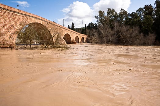 Guadalquivir River passing through Andujar, Jaen province, Andalusia, Spain