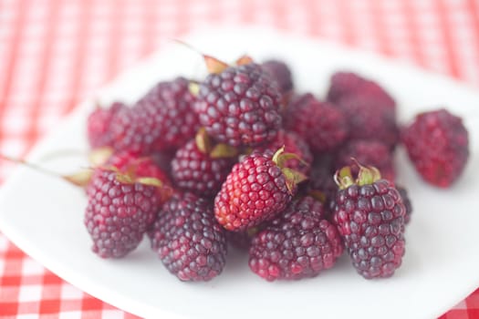  blackberries on plate on checkered fabric