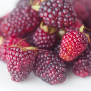  blackberries on plate on checkered fabric