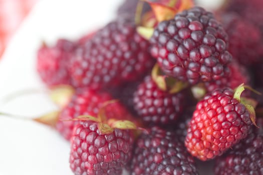  blackberries on plate on checkered fabric