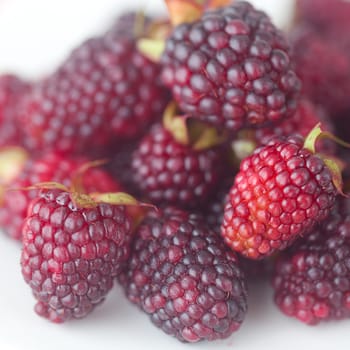  blackberries on plate on checkered fabric