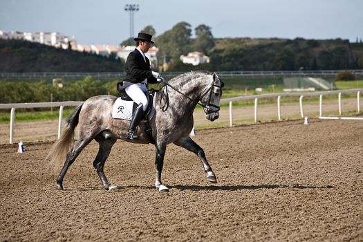 Rider competing in dressage competition classic, Mijas, Malaga province, Andalusia, Spain