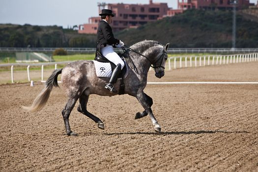 Rider competing in dressage competition classic, Mijas, Malaga province, Andalusia, Spain