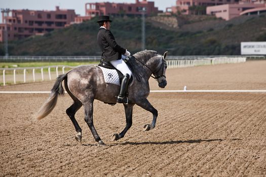 Rider competing in dressage competition classic, Mijas, Malaga province, Andalusia, Spain