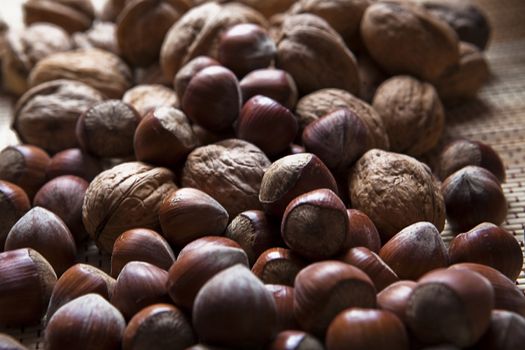 Walnuts and hazelnuts stacked in a pile