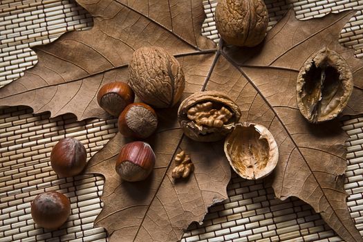 Walnuts and hazelnuts on a dry leaf