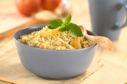 Quinoa porridge with apple and cinnamon, which is a traditional Peruvian breakfast, garnished with mint leaf served in a bowl (Selective Focus, Focus on the apple slice in the middle of the porridge)