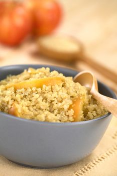 Quinoa porridge with apple and cinnamon, which is a traditional Peruvian breakfast, served in a bowl (Selective Focus, Focus on the apple slice in the middle of the porridge)