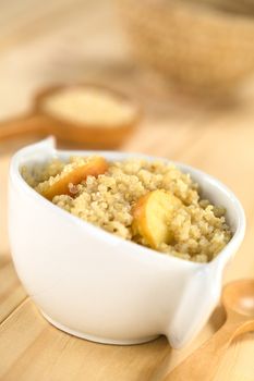 Quinoa porridge with apple and cinnamon, which is a traditional Peruvian breakfast, served in a bowl (Selective Focus, Focus one third into the porridge)