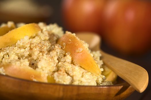 Quinoa porridge with apple and cinnamon, which is a traditional Peruvian breakfast, served on wooden plate (Selective Focus, Focus one third into the porridge)