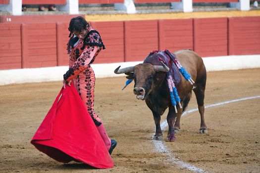 The Spanish bullfighter Juan Jose Padilla Bullfight at Andujar bullring, Jaen, Spain, 10 september 2009
